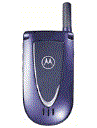 Best available price of Motorola V66i in Benin